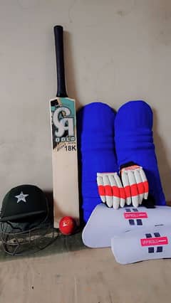 hardball cricket kit