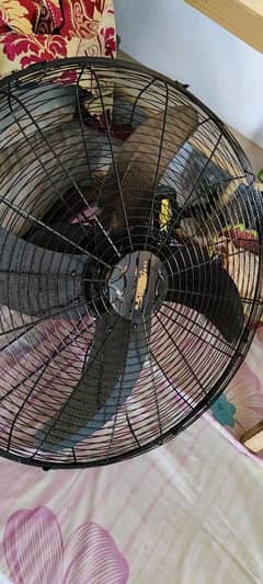 Mega bracket Fan Alsheikh