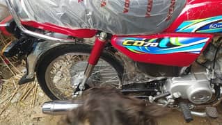 Honda cD70cc