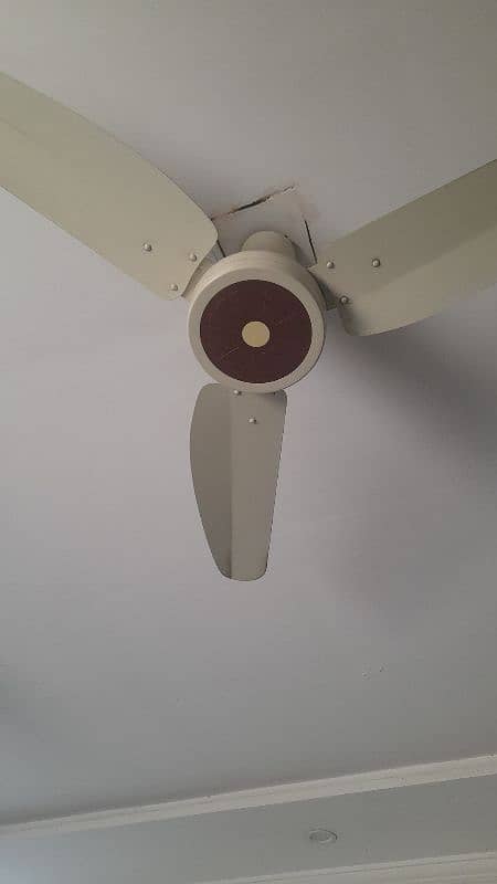 Ceiling Fan 1