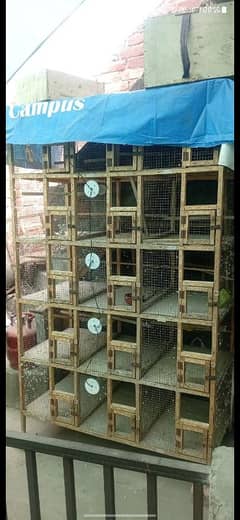 15 portion cage sale 0322 4651279