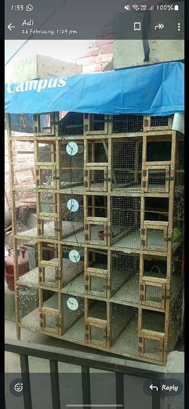 15 portion cage sale 0322 4651279 4