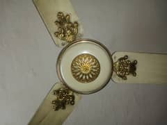 Citizen fan A good condition ceiling fan. Little time used