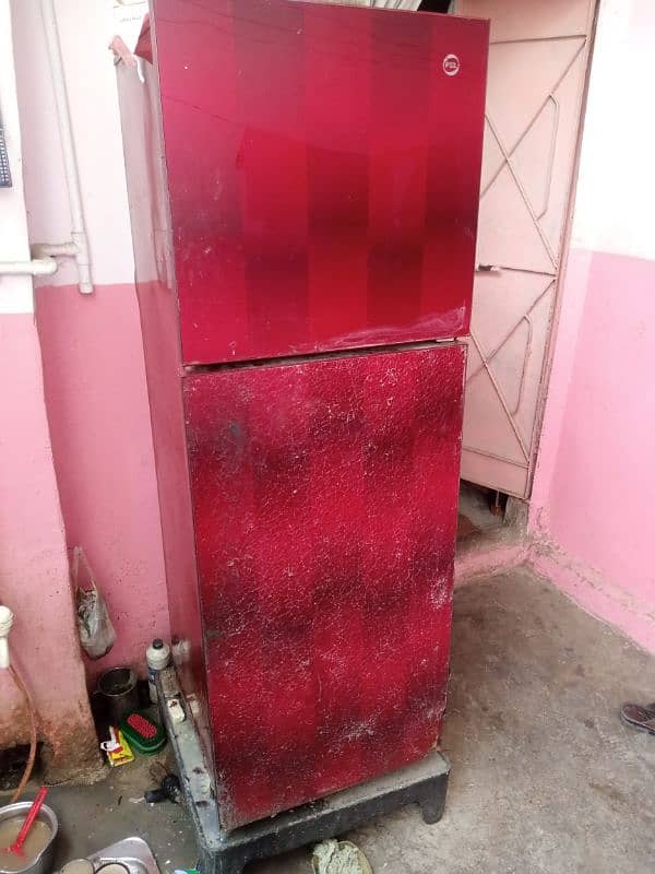 PEL Glass door fridge 1