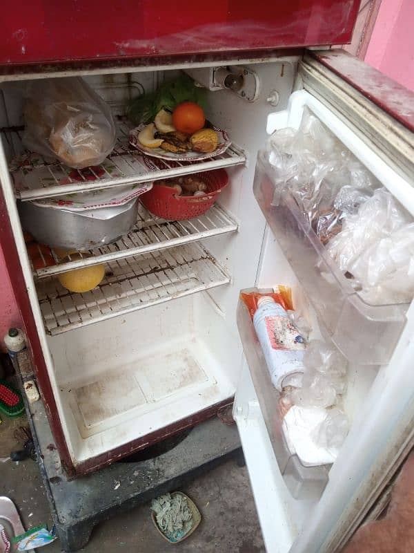 PEL Glass door fridge 3