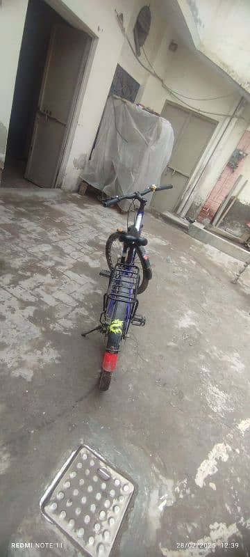 Single gear 24 inch sporty cycle 1