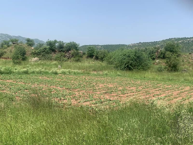 Agricultural Land for Sale in Attock, Punjab, Pakistan 1