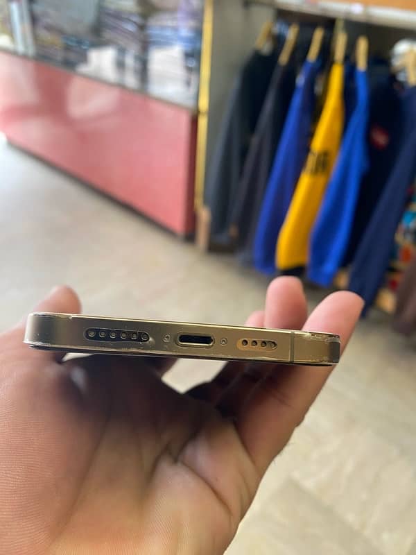 iPhone 12 Pro Max Golden edition 5