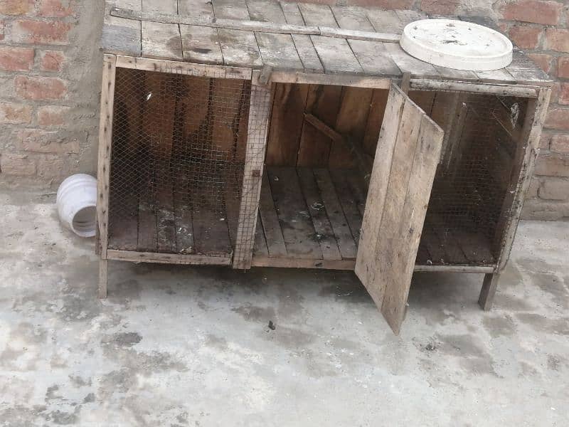 black hen and cages for sale 6