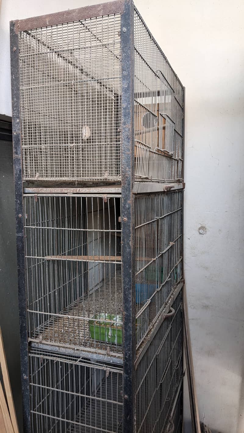 Birds Breeding Cage 1