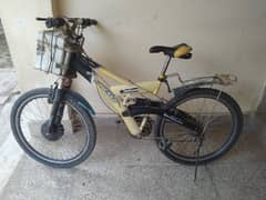 Electric cycle