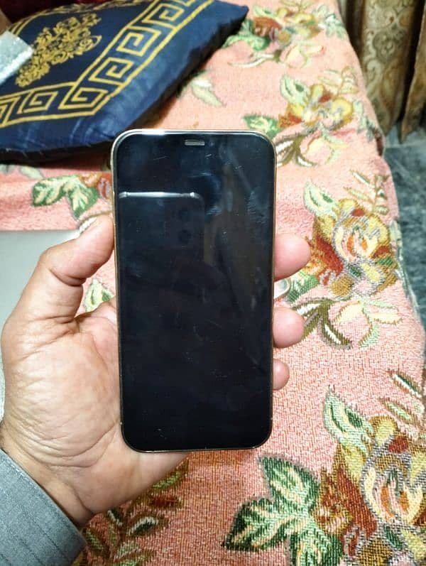 iphone 12 pro 256gb 2