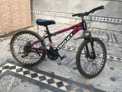 Triojet MTB bicycle