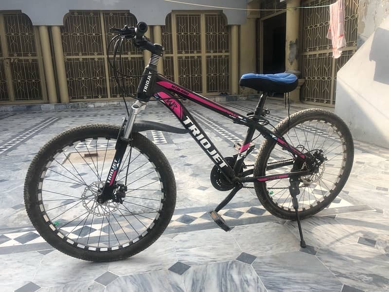 Triojet MTB bicycle 2