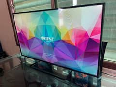 Orient Smart Led