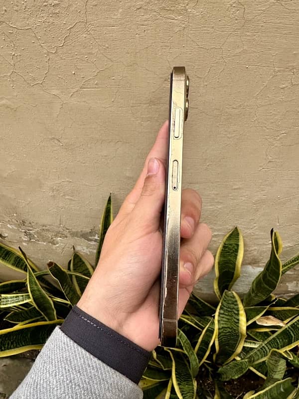 Iphone XS Max Dual SIM PTA Approved 256Gb 7