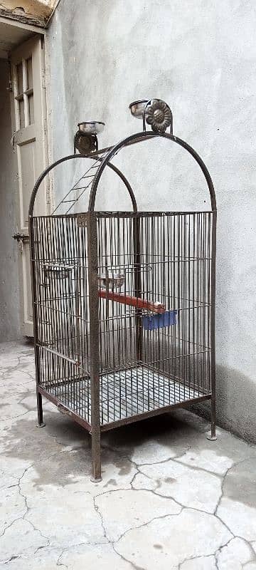 Parrot Cage 2