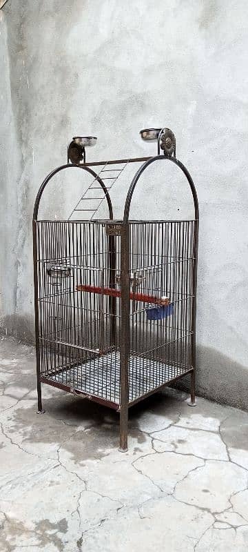 Parrot Cage 3