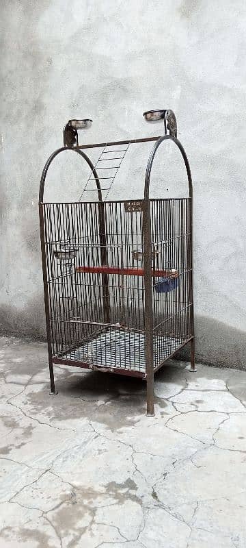 Parrot Cage 4