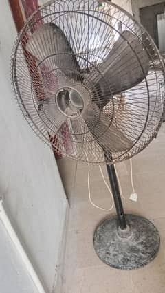 fan