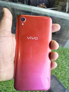 vivo