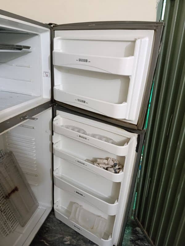 dalwance jumbo size fridge 2