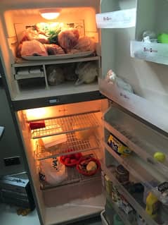 Fridge