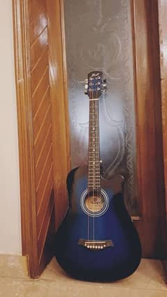 Acoustic Guitar