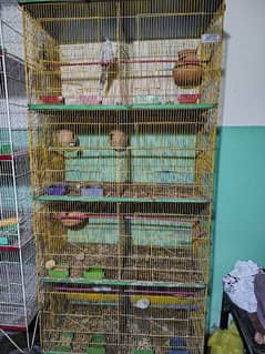 birds cages hai condition 10/7 hai birds bi hai agar Lana hai to