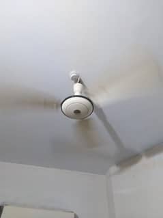 excellent condition ceiling Fan ( pair)