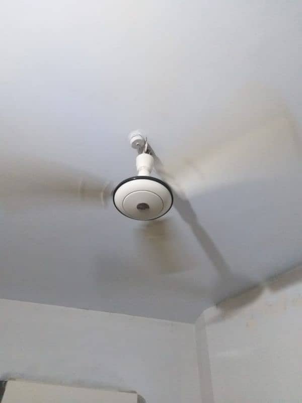 excellent condition ceiling Fan ( pair) 0