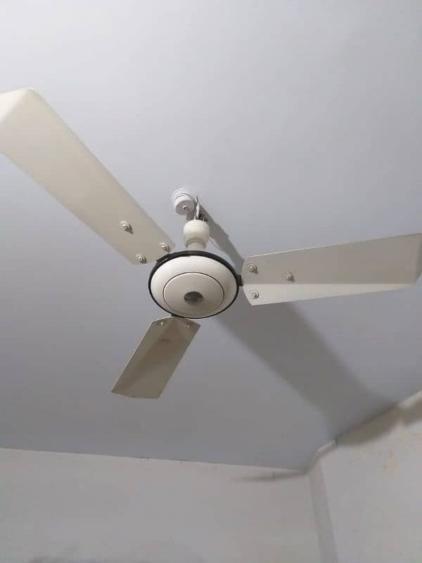 excellent condition ceiling Fan ( pair) 1