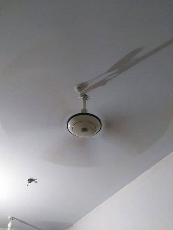 excellent condition ceiling Fan ( pair) 2