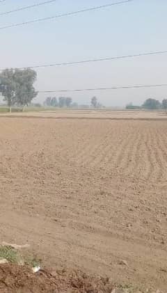 80 KANAL AGRICULTURE LAND FOR SALE