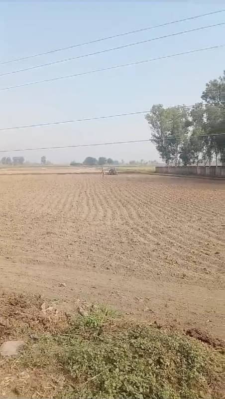 80 KANAL AGRICULTURE LAND FOR SALE 2