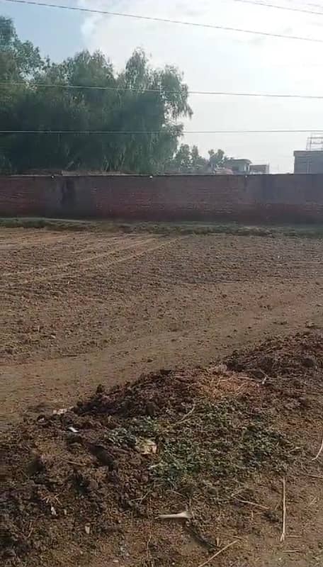 80 KANAL AGRICULTURE LAND FOR SALE 6