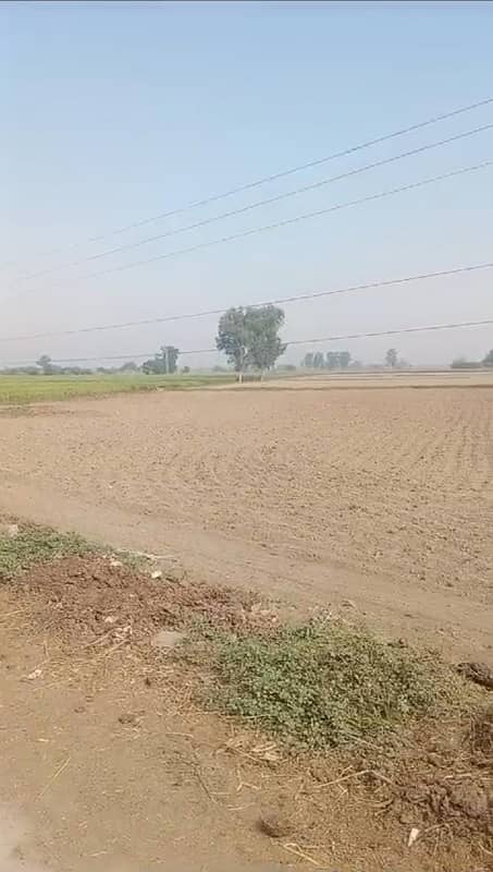 80 KANAL AGRICULTURE LAND FOR SALE 9