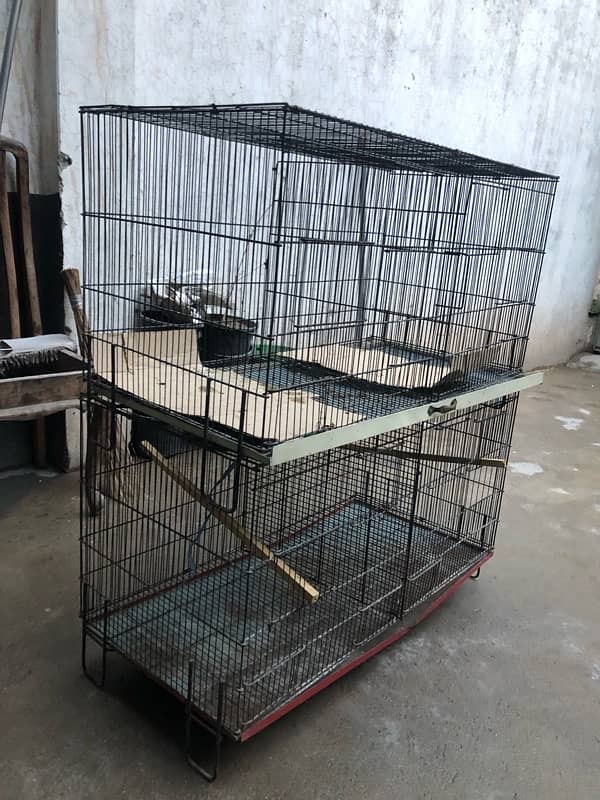 parrot cage 3