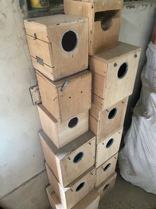 Cages and Breeding Boxes 6