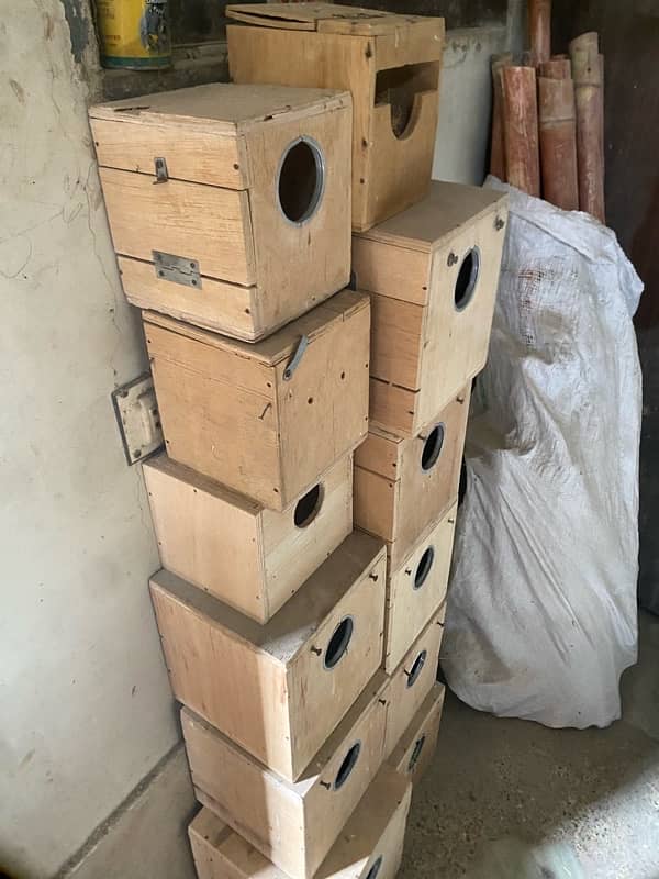 Cages and Breeding Boxes 7