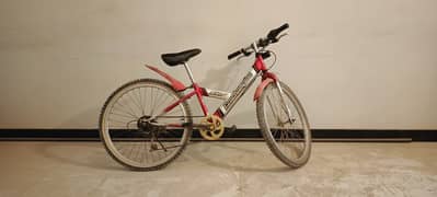 EcoChampion Bicycle for sale!