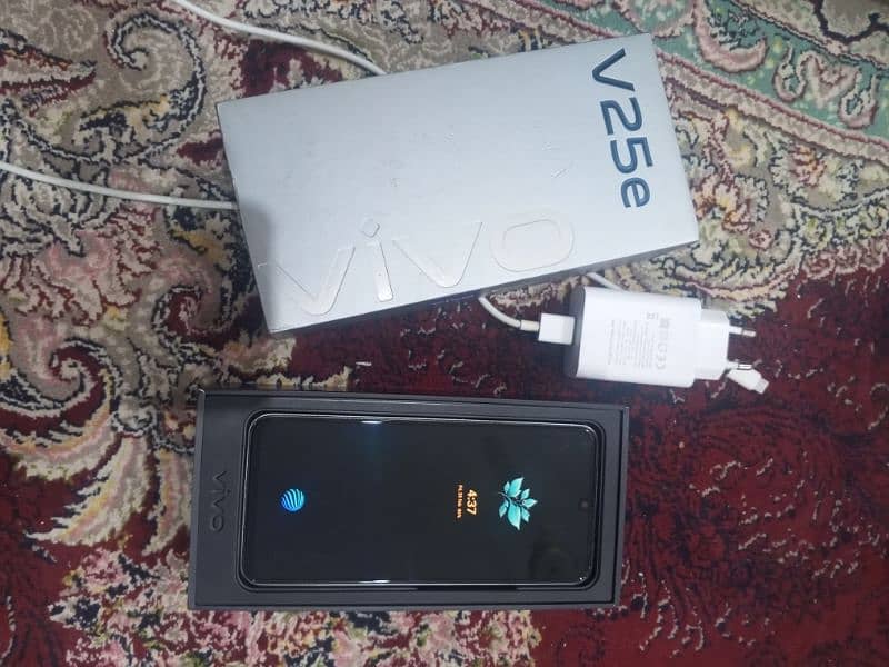 vivo v25e back crick 1