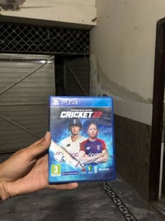 cricket