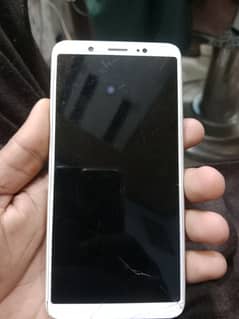 vivo y 55