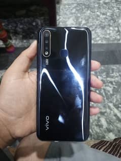 vivo