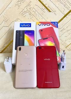 Vivo