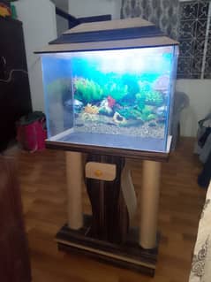 aquarium for sale