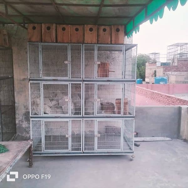 cage for birds 0