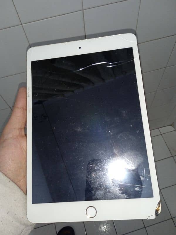 iPad mini 3 1