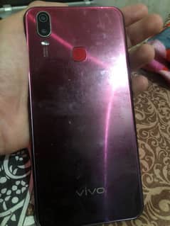 vivo